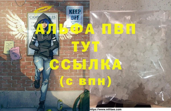 гидра Алексин