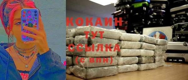 гидра Алексин