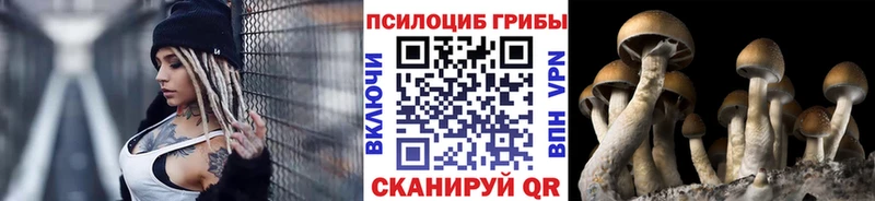 Псилоцибиновые грибы GOLDEN TEACHER Калининск